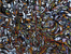 The Abstract Unconscious