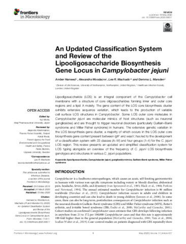 [thumbnail of Machado_etal_FM_2020_An_Updated_Classification_System_and_Review_of_the_Lipooligosaccharide_Biosynthesis_Gene_Locus_in_Campylobacter_jejuni_Final]