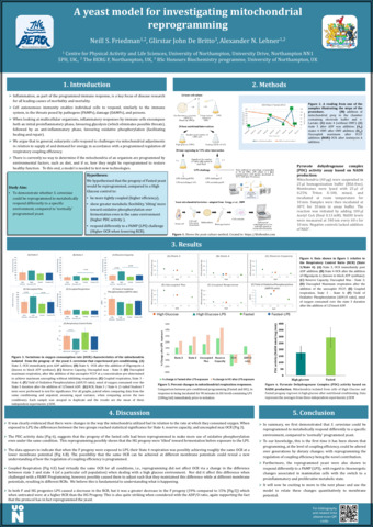 [thumbnail of Friedman_et_al_2025_A_yeast_model_for_investigating_mitochondrial_reprogramming]