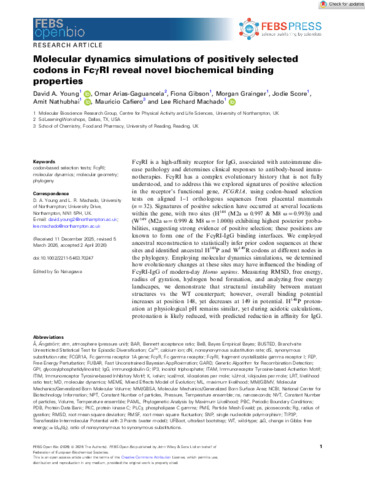 [thumbnail of Young_et_al_2026_Molecular_Dynamics_simulations_of_positively_selected_codons_in_FcγRI_reveal_novel_biochemical_binding_properties]