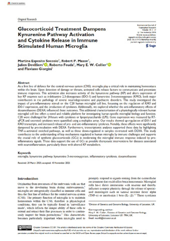 [thumbnail of Soccoio_et_al_2026_Glucocorticoid_Treatment_Dampens_Kynurenine_Pathway_Activation_and_Cytokine_Release_in_Immune_Stimulated_Human_Microglia]